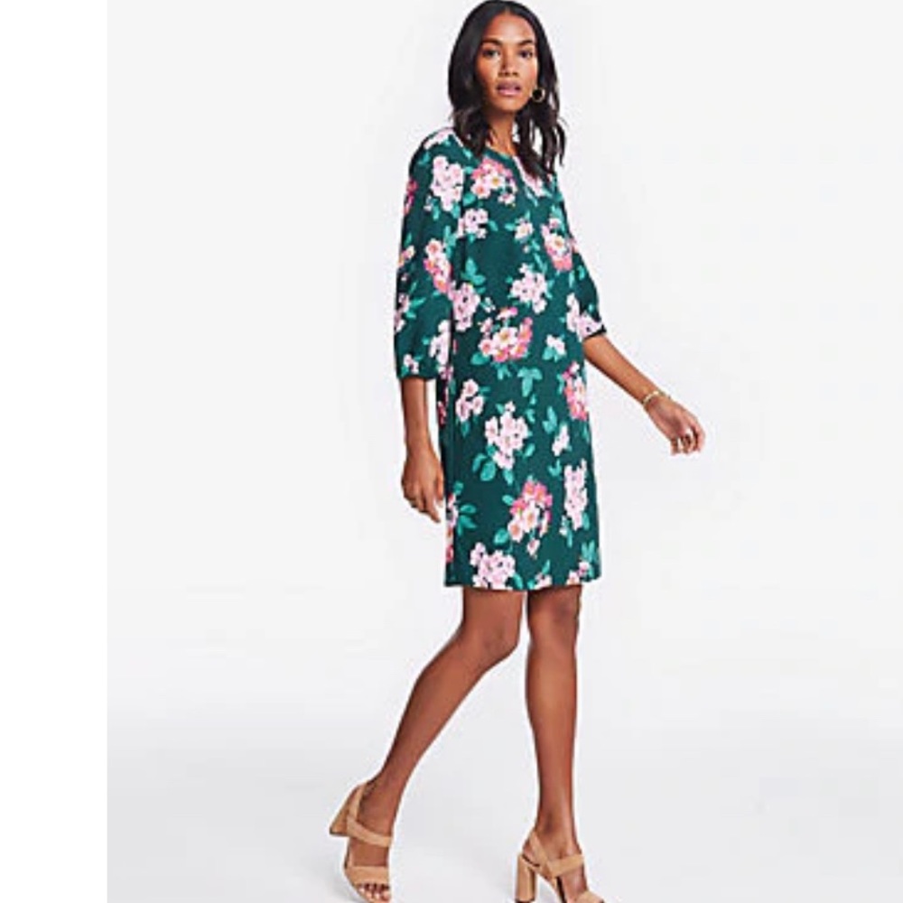 Ann Taylor Floral lantern sleeve shift dress